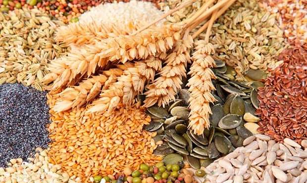 ЄС відкрив ринок для українського насіння: які культури потрапили в список