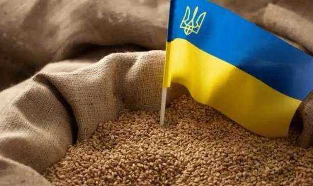 Україна експортувала вже понад 40 мільйонів тонн зерна