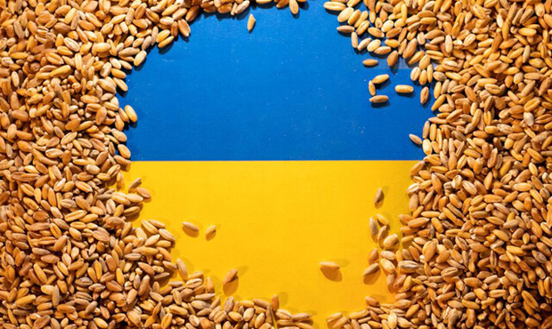 Україна вимагає санкцій на бангладешські компанії за імпорт краденої пшениці