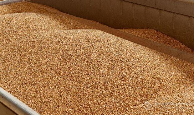Експорт зернових та олійних за сезон впав на 11 мільйонів тонн