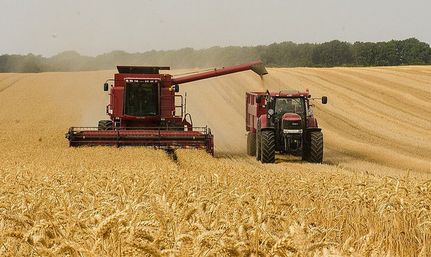 Розвиток агробізнесу в Україні: на одну закриту компанію припадає 2,5 нових