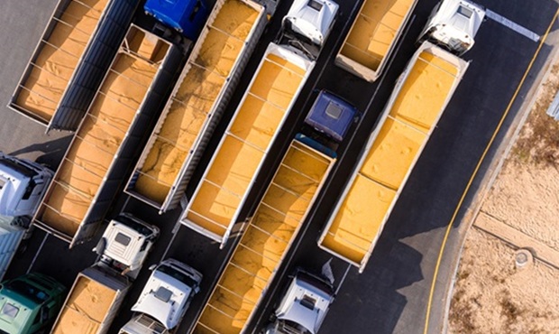 Польські логістичні компанії жаліються на відсутність українського зерна