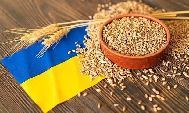 Український агроекспорт склав понад $11 мільярдів за півроку: найбільші країни-імпортери