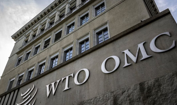 СОТ покращив прогноз торгівлі у 2025 році попри політику США