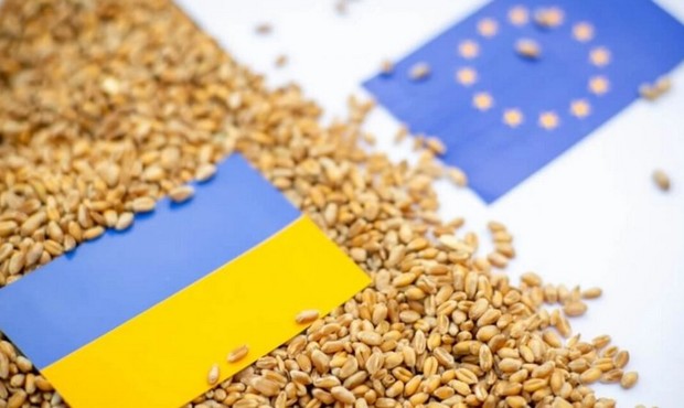 Між Україною та ЄС зменшився оборот торгівлі агропродукцією: які обсяги