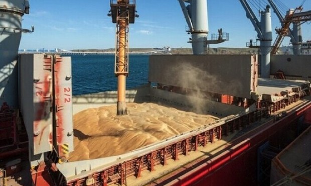 Росія відновила поставки краденого українського зерна до Сирії