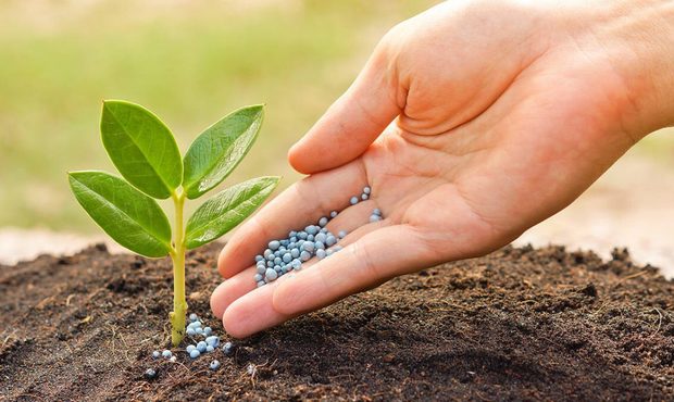 Аграрії просять владу розв’язати проблему з імпортом міндобрив