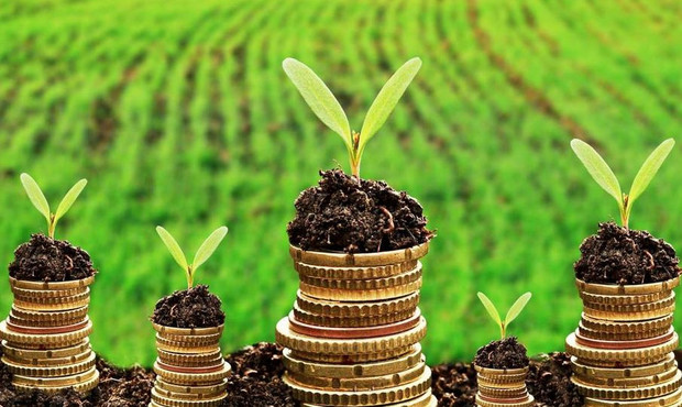 Землевласники сплатили 25,5 мільярдів гривень земельного податку