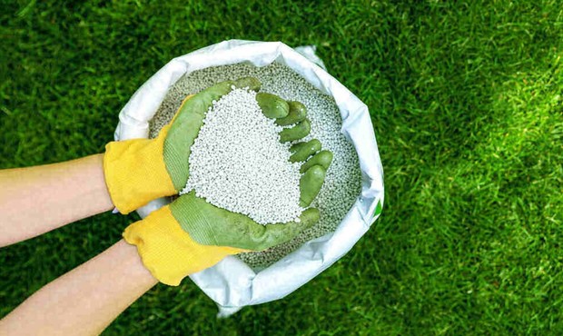 Імпорт мінеральних добрив в українських портах частково розблокували