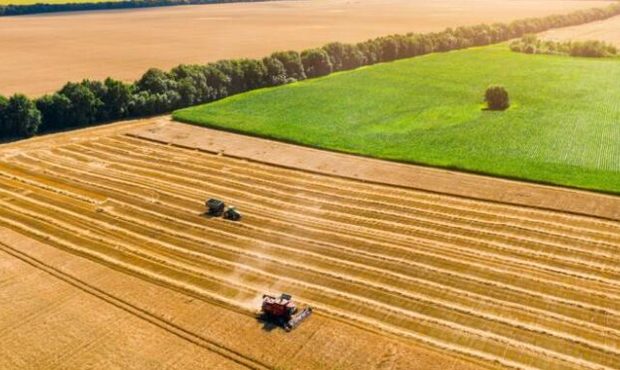 Мінекономіки відзвітувало про перебіг жнив: регіони-лідери