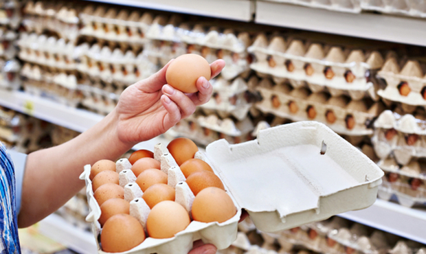 За 7 місяців Україна експортувала яєць на понад 103 мільйони доларів