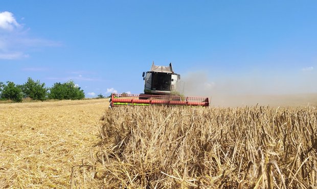 Компенсація вартості української агротехніки: Мінекономіки розподілило кошти