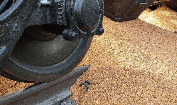За 8 місяців залізницею перевезли майже 19 мільйонів тонн зернових