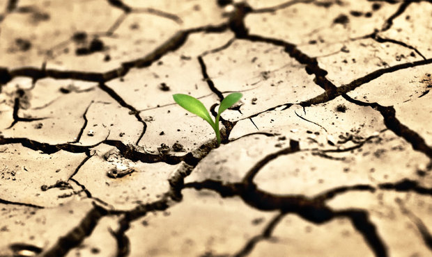 Через посуху збитки аграріїв Херсонщини сягнули мільярда гривень