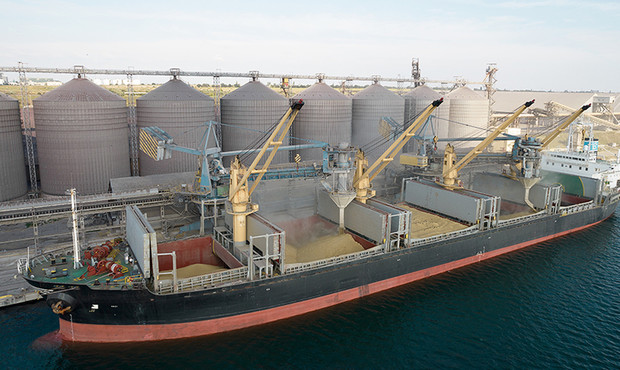 Балкери з ріпаком в українських портах чекають на розблокування експорту
