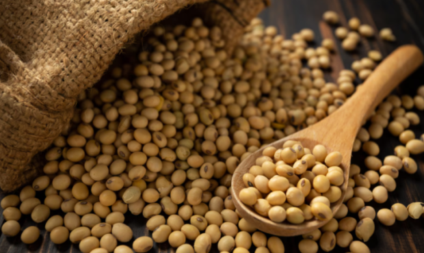 На складах заблоковано 500 000 тонн сої та ріпаку через нові мита: аграрії закликають їх скасувати