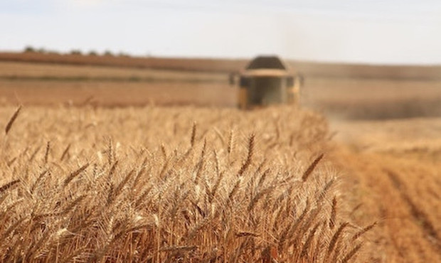 Держава віддала аграріям у суборенду ще 183,5 га земель