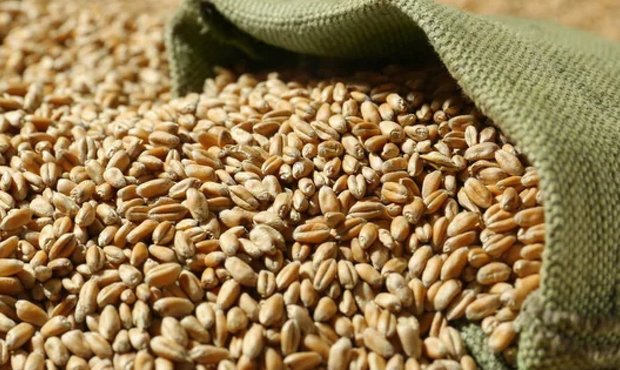 У вересні експорт зернових залізницею скоротився