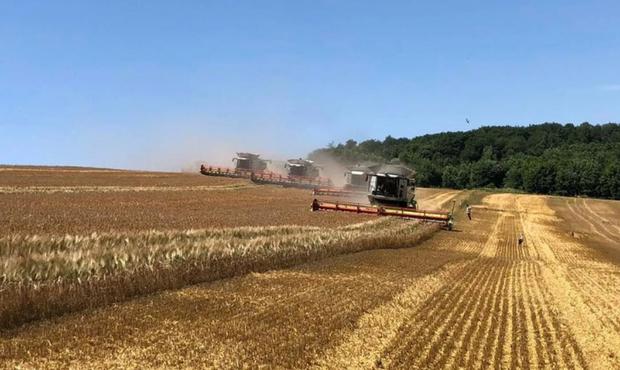 Компанія з данськими інвестиціями купує агрофірму на заході України