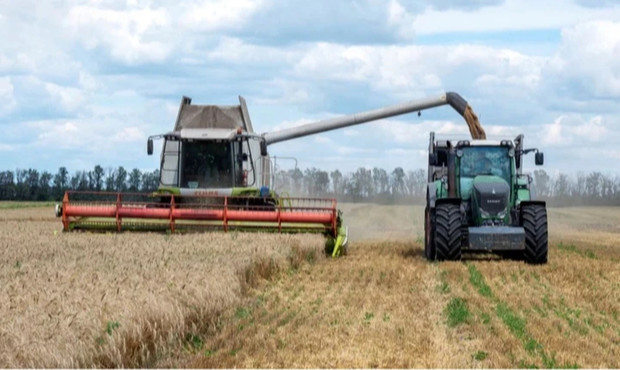 Окупанти зібрали на Запоріжжі рекордно низький урожай
