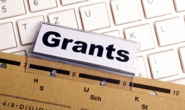 Держава виділила 168,7 мільйонів на гранти для переробних підприємств