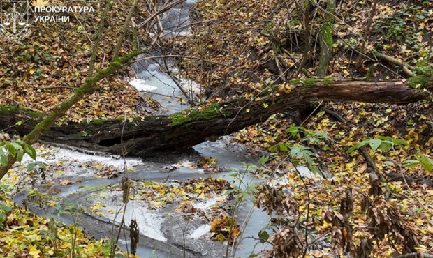 15 мільйонів збитків довкіллю через стоки в річку: посадовиці молокопідприємства оголосили підозру