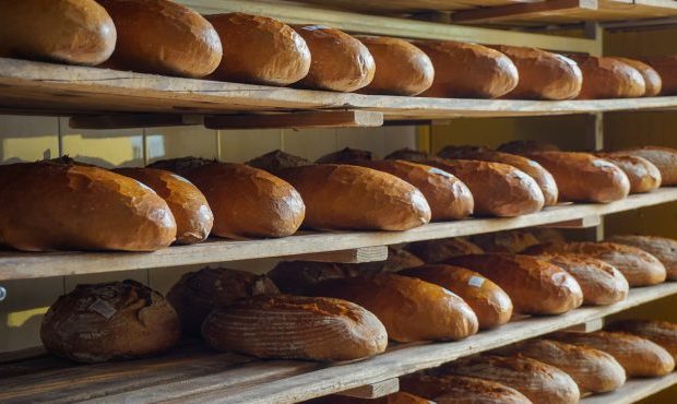 ФДМУ виставив на продаж комбінат хлібопродуктів