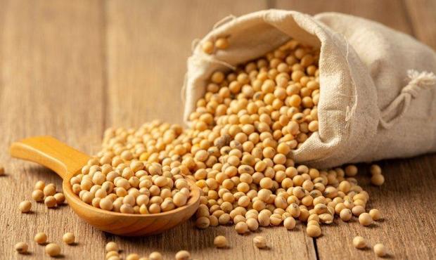 Аграрії експортували перший мільйон тонн сої та ріпаку після встановлення мита