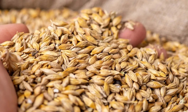 Україна у жовтні збільшила експорт агропродукції