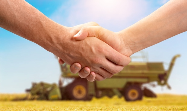 За чотири роки через Prozorro уклали земельні угоди на майже 8 мільярдів гривень