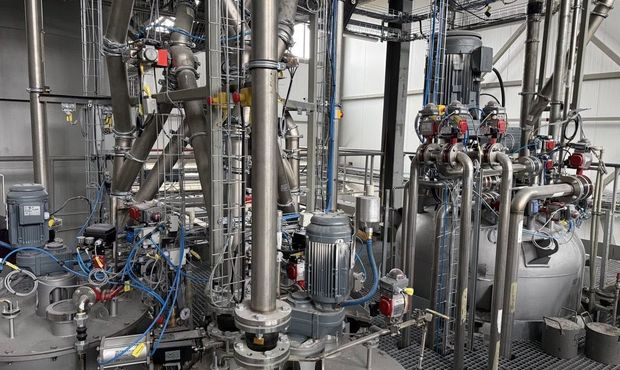 В Україні вперше запустили виробництво біоклею з гороху