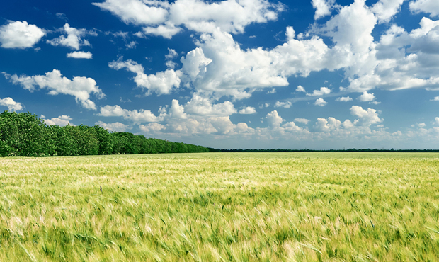 Земельний податок: податкова розповіла, хто сплатив найбільше