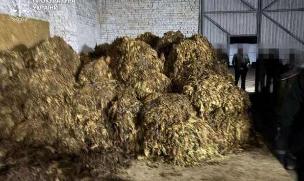 В Україні ліквідували масштабне підпільне виробництво тютюну на 25 мільйонів