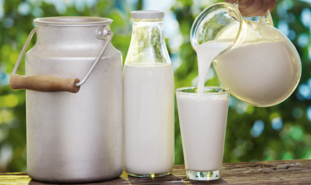 Виробництво молока в Україні цього року збільшиться на 200 тисяч