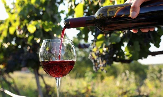 З 1 січня запрацюють нові правила для виноградарів та виноробів: що зміниться