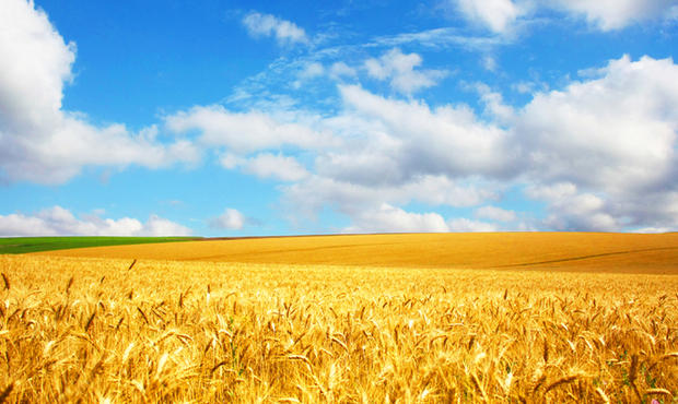 В Україні платежі за землю зросли на 15%: які регіони сплатили найбільше