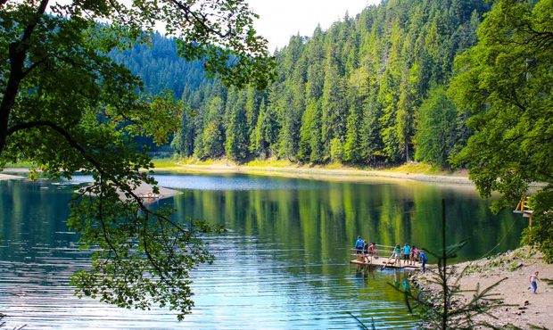 Держава могла втратити заповідні землі парку "Синевир": чиновник отримав підозру