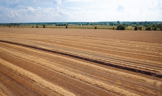Мінекономіки розповіло про зміни на ринку сільгоспземель