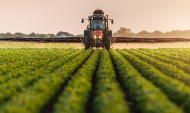 У Раді розповіли про розподіл держпідтримки аграріїв