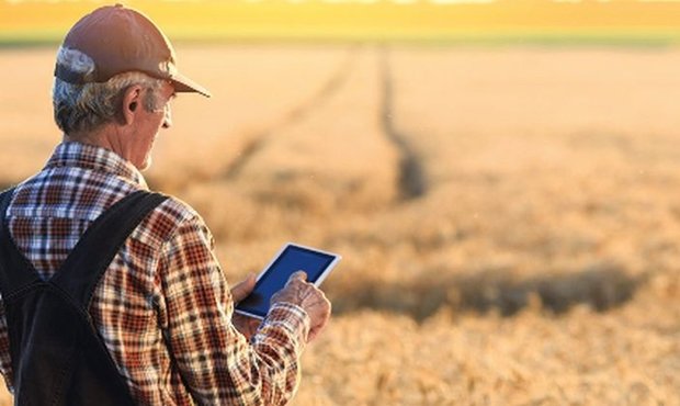 Фермерам розширили доступ до фінгарантій