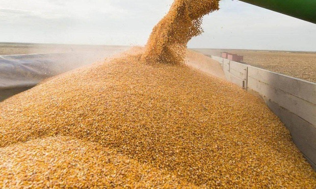 Експорт зерна "морським коридором" сягнув 100 мільйонів тонн