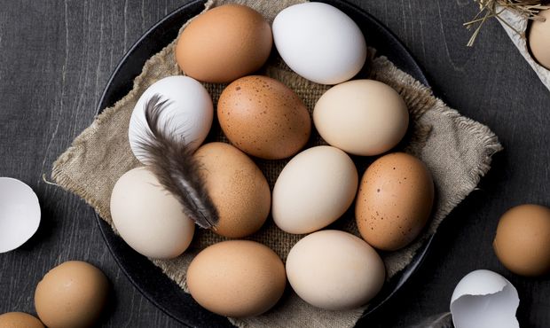 Виручка від експорту українських яєць за рік зросла майже втричі