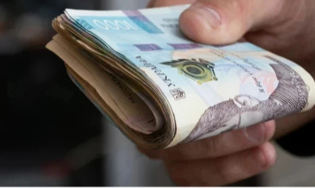 Уряд роз’яснив, які ФОПи можуть отримати гранти на енергообладнання