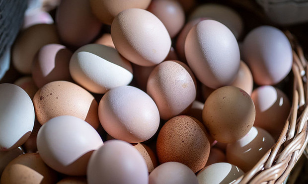 Торік Україна експортувала два мільйона яєць