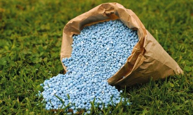 У 2025 році Україна на 13,3% збільшила імпорт добрив