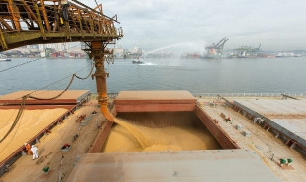 Порти Великої Одеси нарощують темпи вивантаження зернових