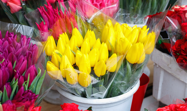 Три чверті квіткового ринку України працюють у тіні — Гетманцев