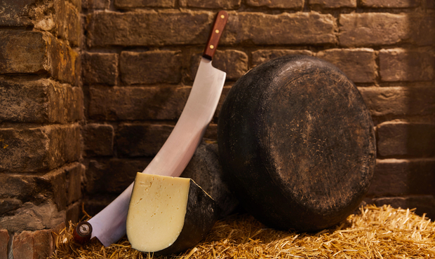 Польський сир тисне на українських виробників демпінговими цінами