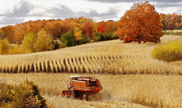 Чому банки не кредитують аграріїв