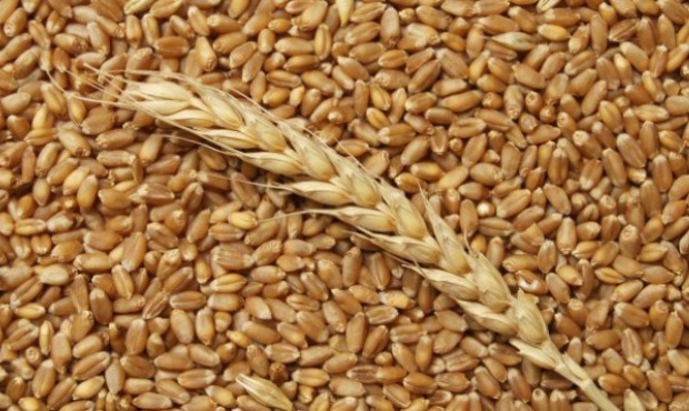 МінАПК поховає наступника одіозного "Хліба України"